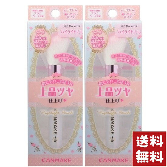 キャンメイク ハイライトブラシ 01×2個セット