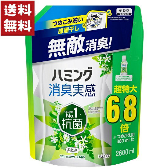 ハミング 消臭実感 柔軟剤 リフレッシュグリーンの香り 超特大 つめかえ用 2600ml