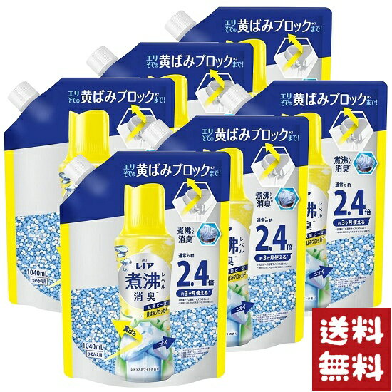 レノア 煮沸レベル消臭 抗菌ビーズ 黄ばみブロッカー シトラスホワイト 詰替 1040ml×6袋セット