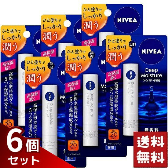 ˥٥ ǥץ⥤㡼 å ̵ 2.2g6ĥå