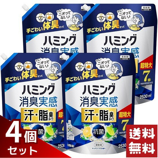 ハミング 消臭実感 柔軟剤 汗・脂臭タイプ シトラスの香り つめかえ用 2530ml×4袋セット