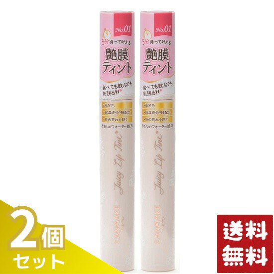 キャンメイク ジューシーリップティント 01 アンティークローズ 3.0g×2個セット
