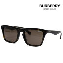 BURBERRY バーバリー BE4434F 300273 57 サン...(4)
