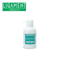 リガメェント アクアシャンプー（美容室対応シャンプー） 【条件付送料無料】 リガメント/LGA/LIGAMENT/肌にやさしい無添加ダメージヘ..