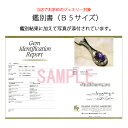 【ポイント最大20倍】当社品限定 DGL鑑別書作成 (見開きB5サイズ)