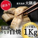 【母の日】【訳あり 鹿児島県産 有頭うなぎ 白焼き 1kg 5尾〜7尾】国産 うなぎ 真空パック 鹿児島県大隅産 クール便 鹿児島 ウナギ 土用の丑 内祝い