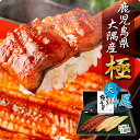 国産 鹿児島のうなぎ4本セット 蒲焼2本 白焼き2本 大サイズ 白焼き うなぎ 国産 4尾 鰻 蒲焼き 尾頭付き 真空パック ギフト お祝い 化粧箱 のし クー...