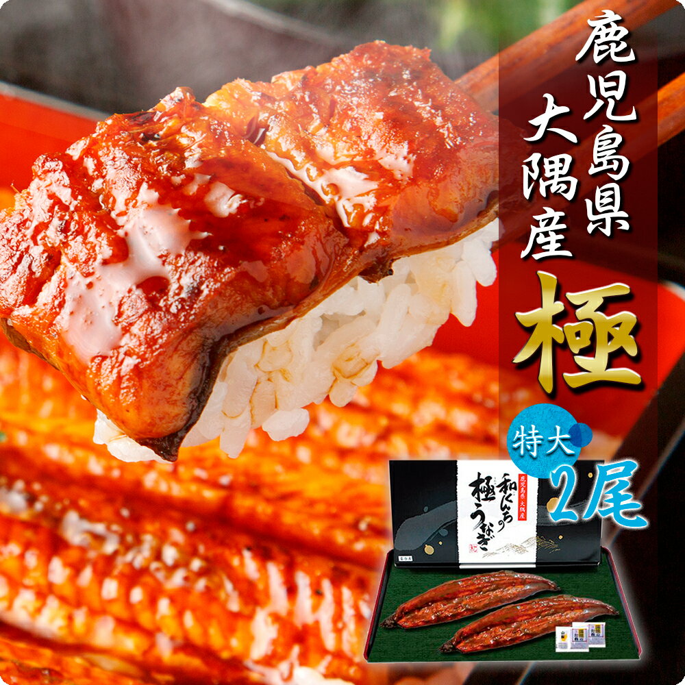 国産 鹿児島のうなぎ 蒲焼き 特大サイズ2尾セット うなぎ 国産 2尾 鰻 蒲焼き 尾頭付き 真空パック ギフトセット ギフト 丑の日 化粧箱 のし 鹿児島県 クール便 熨斗 箱入り 鹿児島 ウナギ 山椒付き 土用の丑 内祝い