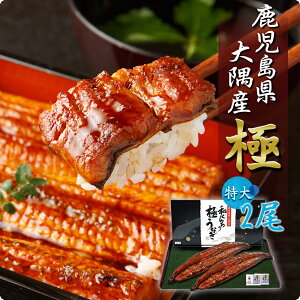 本日ポイント5倍>【国産 鹿児島のうなぎ蒲焼き 特大サイズ2尾 セット】 鰻 特大 特盛 送料無料 2尾 鰻 蒲焼 尾頭付き 真空パック ギフト 食品 丑の日 お祝い 化粧箱 のし 大隅産 クール便 箱入り 鹿児島 ウナギ グルメ 山椒 天然水