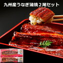 ≪お中元≫九州産 うなぎ蒲焼 2尾セット 専用タレ 山椒付き 国産うなぎ 鰻 うなぎ ウナギ 蒲焼 冷凍便 化粧箱入り 熨斗対応 ギフト 贈答 贈り物 産地直送...