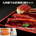 ≪お中元≫九州産 うなぎ蒲焼 3尾セット 専用タレ 山椒付き 国産うなぎ 鰻 うなぎ ウナギ 蒲焼 冷凍便 化粧箱入り 熨斗対応 ギフト 贈答 贈り物 産地直送 送料無料 土用の丑 内祝い