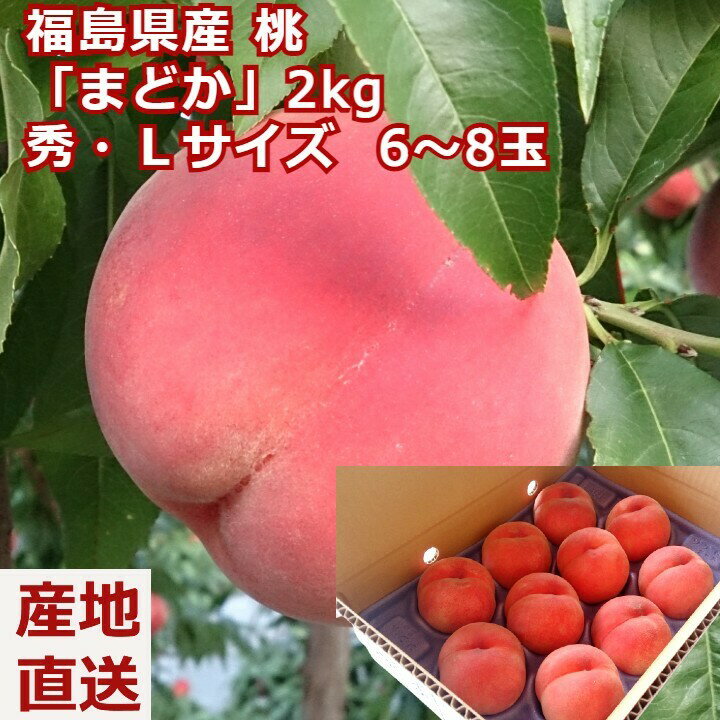 桃 まどか 秀品 約2kg 6〜8玉 ギフト 福島県 送料無料 人気 高級 白桃 お供え ギフト 贈答用 もも モモ お盆 お供 供 お供え物 果物 進物 お取り寄せ 夏ギフト 高級 フルーツ グルメ 食品 お祝 産地直送 マラソン 内祝いのサムネイル