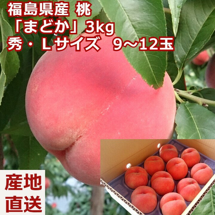 【お中元】桃 まどか 秀品 約3kg 9〜12玉 ギフト 福島県 送料無料 人気 高級 白桃 お供え ギフト 贈答用 もも モモ お盆 お供 供 お供え物 果物 進物 お取り寄せ 夏ギフト 高級 フルーツ グルメ 食品 お祝 産地直送 マラソン 内祝いのサムネイル