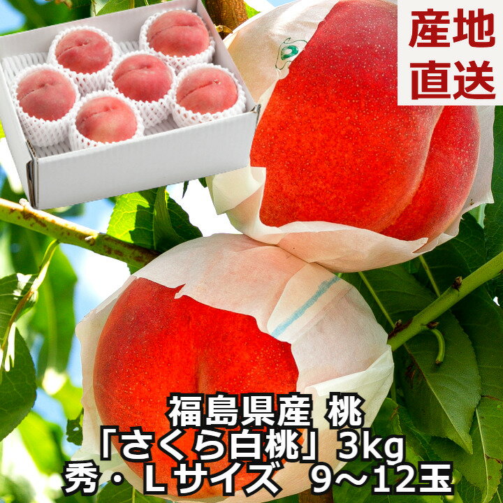 桃 さくら白桃 秀品 約3kg 9〜12玉 ギフト 福島県 送料無料 人気 高級 白桃 お供え ギフト 贈答用 もも モモ お盆 お供 供 お供え物 果物 進物 お取り寄せ 夏ギフト 高級 フルーツ グルメ 食品 お祝 産地直送 マラソン 内祝いのサムネイル
