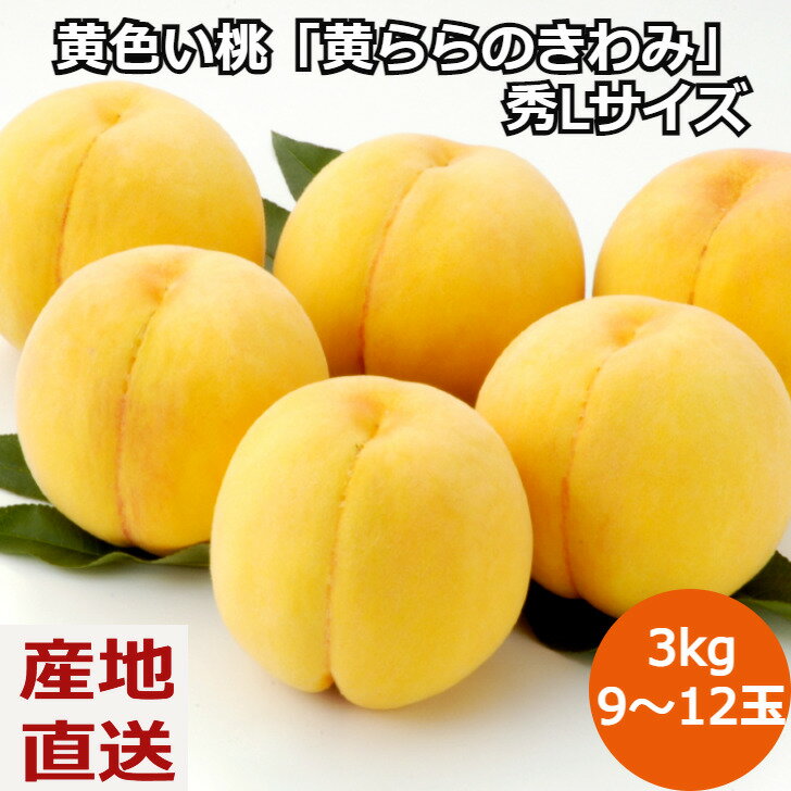 【P5倍!6/4 20:00〜6/11 1:59】【楽天スーパーSALE】【期間限定】黄色い桃「黄ららのきわみ」秀品 Lサイズ 3kg（9〜12玉）福島県産 送料無料 ギフト 贈答 フルーツ 黄桃 桃 ピーチ 果物 減農薬 酸味 甘味 内祝い 父の日のサムネイル