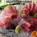 【三浦三崎 まぐろの詰合せ 大トロ100g×1 中トロ100g×1 赤身100g×1 】海産品 神奈川県 冷凍10日 熨斗対応 送料無料 ギフト 贈答 記念日 産地直送 プレゼント 内祝い