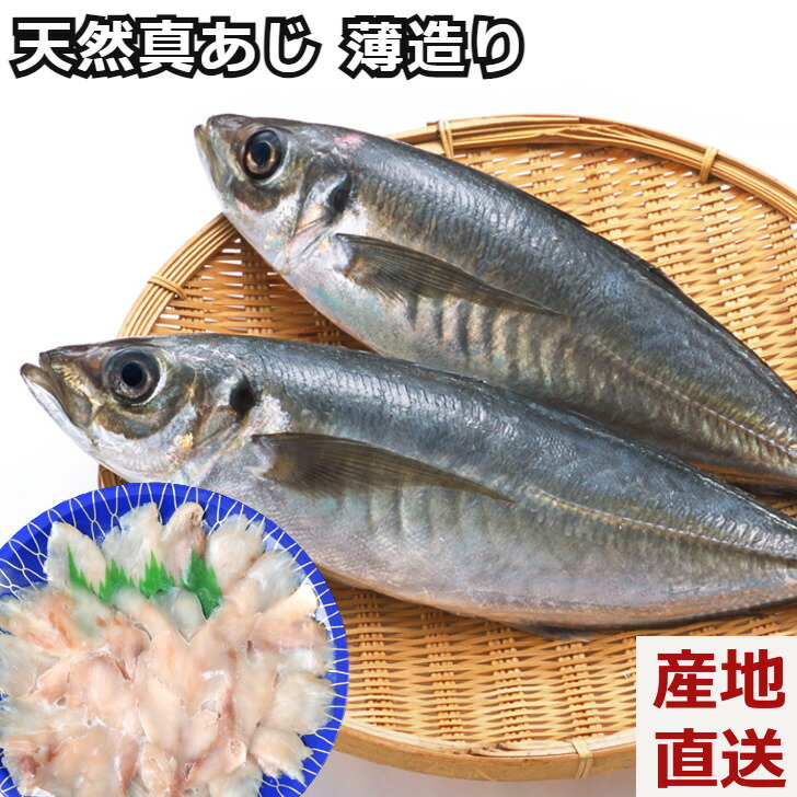 【天然真アジの薄造り】真アジ 鯵 あじ 真空急速冷凍 島根県 大田市 一日漁 高級魚 刺身 海鮮ギフト プレゼント 熨斗対応 冷凍便 産地直送 送料無料 内祝い 母の日