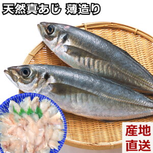 【天然真アジの薄造り】真アジ 鯵 あじ 真空急速冷凍 島根県 大田市 一日漁 高級魚 刺身 海鮮ギフト プレゼント 熨斗対応 冷凍便 産地直送 送料無料 内祝い 母の日