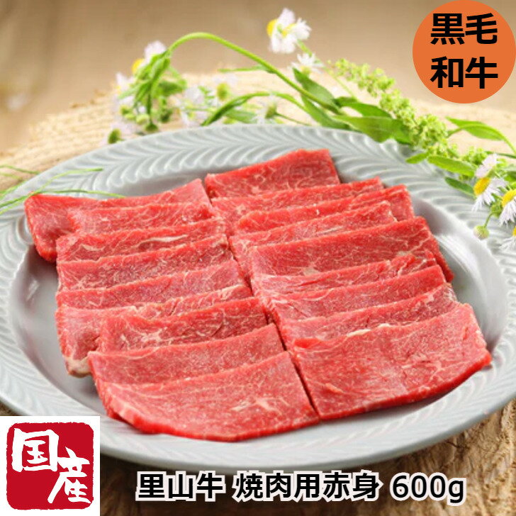 全国お取り寄せグルメ宮崎牛肉No.29