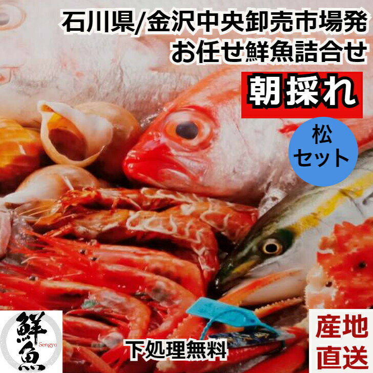 鮮魚ボックス 【朝採れ 鮮魚 新鮮地魚 詰合せセット 松セット 金沢中央卸売市場発】鮮魚BOX 新鮮 下処理加工付 送料無料 クール便 お取り寄せ 産地直送 内...