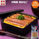 【対馬産 煮あなご 3パック】300g (100g×3パック) 冷凍 穴子 あなご 手開き 活き〆加工 国産 贈答 ギフト プレゼント 産地直送 送料無料 内祝...