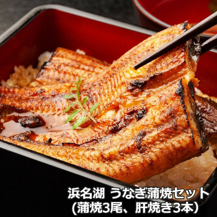 お歳暮 浜名湖 うなぎ蒲焼セット（ご贈答用）蒲焼き3本 肝焼き3本 蒲焼 肝焼 国産 浜松うなぎ 鰻 ウナギ 丑の日 化粧箱入り 贈答 産地直送 冷凍便 真空パック 土用の丑 内祝いのサムネイル