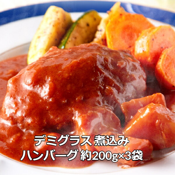1000円ポッキリ 送料無料 ゆうパケット出荷 野菜入り デミグラス 煮込み ハンバーグ 約200g×3袋 内祝いのサムネイル
