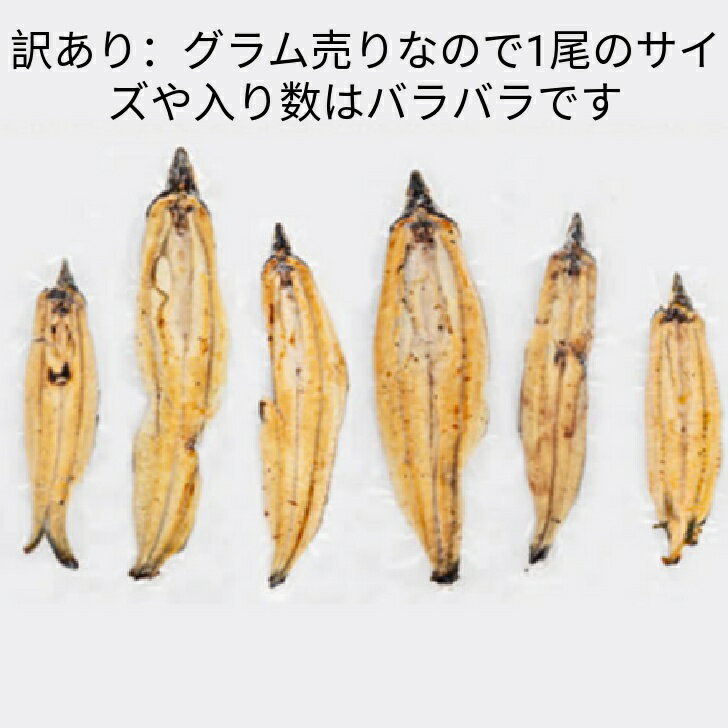 【訳あり 鹿児島県産 有頭うなぎ 白焼き 1.5kg 7尾〜10尾】国産 うなぎ 真空パック 鹿児島県大隅産 クール便 鹿児島 ウナギ 土用の丑 内祝い
