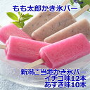 「秘密のケンミンショー」で話題 新潟ご当地かき氷バー(もも太郎・金太郎セット)22本セット 送料無料 お取り寄せ もも太郎 アイス もも太郎アイス 金太郎 セイ...