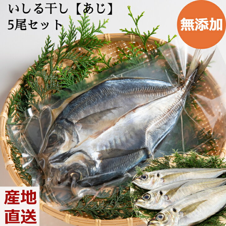 干物ギフト ＼父の日／無添加 いしる干し【あじ】5尾セット 個包装 真空パック 干物 鯵 あじ クール便 石川県 能登産 ギフト プレゼント 産地直送 お取り寄せ 送料無料 熨斗対応 内祝い