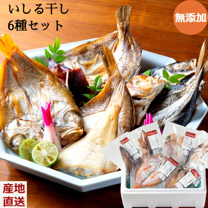 無添加 いしる干し6種セット【のどぐろ・甘鯛・赤カレイ・あじ・するめいか・柳バチメ】国産 個包装 冷凍 真空パック 干物 国産 のどぐろ ノドグロ 鯛 クール便 石川県 能登産 ギフト プレゼント 産地直送 お取り寄せ 送料無料 熨斗対応 内祝いのサムネイル