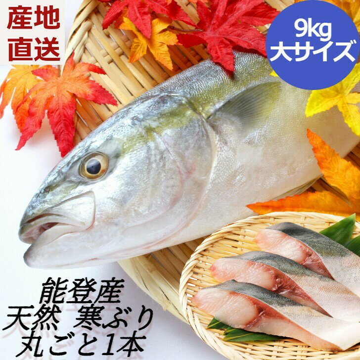 【冬季限定】網元直送！天然 能登