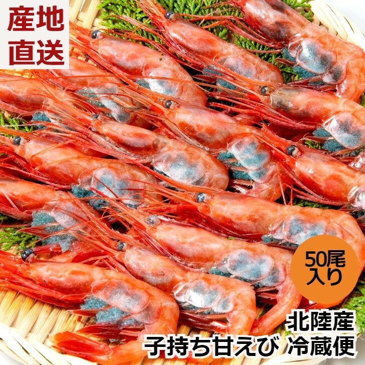 ＼お中元／北陸産 子持ち甘エビ 50尾 クール冷蔵便 お刺身用 アマエビ えび あまえび 甘えび 石川県産 日本海 海鮮 国産 ギフト プレゼント 年賀 お正月 産地直送 お取り寄せ 送料無料のサムネイル