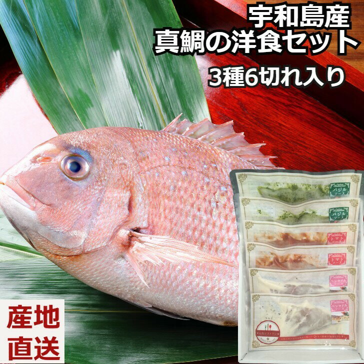 宇和島産 真鯛の洋食セット→お魚レストランセット～洋食セット～【宇和島産 真鯛の洋食セット 6切入り】真鯛のバジルソース×2 真鯛のトマトソース×2 真鯛のベシャメルソース×2 国産 冷凍便 惣菜 ギフト 贈り物 贈答 記念日 人気 熨斗対応 送料無料 産地直送 内祝い