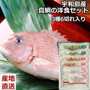 宇和島産 真鯛の洋食セット→お魚レストランセット〜洋食セット〜【宇和島産 真鯛の洋食セット 6切入り】真鯛のバジルソース×2 真鯛のトマトソース×2 真鯛のベシャメルソース×2 国産 冷凍便 惣菜 ギフト 贈り物 贈答 記念日 人気 熨斗対応 送料無料 産地直送 内祝い