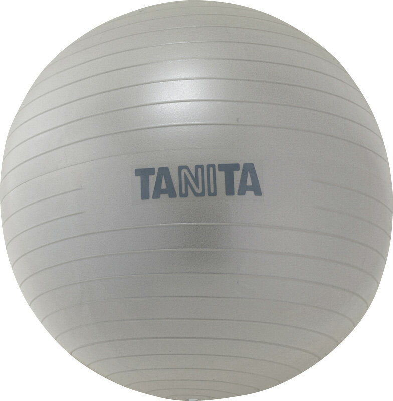 ジムボール タニタサイズ タニタ TS-962SV rw-i-TS-962SV プレゼント ギフト 贈り物 贈答