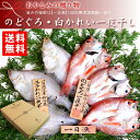 ≪お中元≫【お歳暮】お取り寄せ のどぐろ・かれい一夜干し《ノドグロ(アカムツ)・エテカレイ(宗八カレイ)》国産 島根産 贈り物 干物 ひもの お祝い プレゼント...
