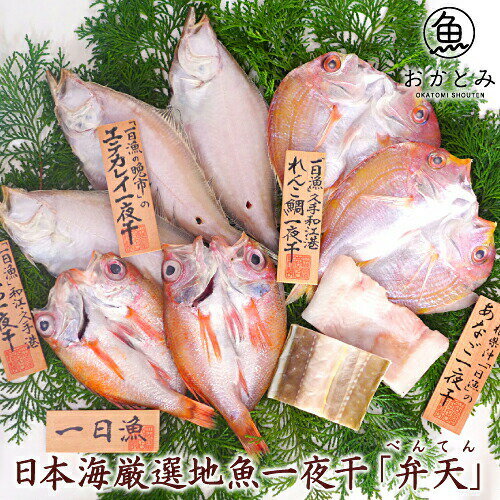 【お中元】お取り寄せ 日本海厳選地魚一夜干「弁天」（べんてん）≪のどぐろ・れんこ鯛・白かれい・穴子≫国産 島根産 贈答 プレゼント 祝 誕生日 干物 ノドグロ 高級 お取り寄せグルメ 無添加 海鮮ギフト 内祝いのサムネイル