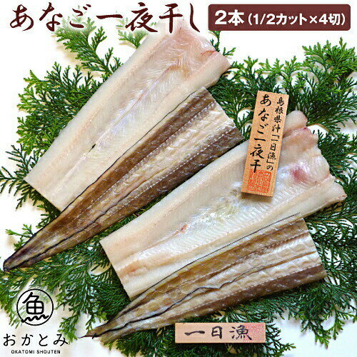 ＼父の日／お取り寄せ 島根沖・あなご一夜干し2本 500g （1 2カット×4切）「天女の羽衣」穴子 アナゴ 国産 日本海 島根産 干物 ひもの プレゼント お祝い 天ぷら 産直 お取り寄せグルメ 無添加 海鮮ギフト 海鮮グルメ 内祝い