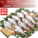 白身でサッパリとしていて、しかも脂、旨味たっぷりの【白かれい】の干物。 スーパーでもよく見かけますが、「おかとみ」のかれいの干物はひと味もふた味もちがいます。 理由はふたつ。 ひとつめは、とにかく原料の鮮度が良いこと。 ここ島根県大田市では、全国でも珍しい『一日漁』が行われています。 早朝出漁し、夕方には帰港、その日の『晩市』でセリにかけられるので、これ以上の鮮度はありえません。 ふたつめは、そのように夕方に仕入れたかれいをその日のうちにウロコを落として塩水に漬けるという、鮮度へのこだわり。 もちろん、塩以外は何一つ加えていませんから、安心・安全、しかもおいしい。 つまり天然の健康食品なわけです。 とにかく、一度食べくらべてみて下さい。 また、【白かれい】は山陰の冬の風物詩。 贈物にも大変喜ばれています。 商品詳細 送料無料！白かれい一夜干し（1200g） 原材料名 エテカレイ（ソウハチカレイ）、食塩 原料原産地名 島根県大田市沖 内 容　量 白かれい1200g（12〜16枚） お召上がり方 自然解凍したのち、そのままコンロで焼いて下さい。（詳しくは商品同封のしおりに書かれておりす。） 保存方法 冷凍1ヶ月　冷蔵2日 ※少しずつ風味が落ちますので、なるべくお 早めにお召し上がり下さい。 配送方法 ?ヤマト運輸 クール便 常温、冷蔵の商品を同梱可能です。 送　料 この商品には送料が含まれています。 ●ただし、北海道・沖縄・離島が配送先となる場合は、送料無料・送料込の商品でも、以下のとおり別途料金を加算させていただきます。 製 造 者 有限会社 岡富商店 島根県大田市久手町波根西1988-3 □ギフト お中元・お歳暮・お祝い・お礼・快気祝い・寸志・内祝い・お慶び・出産・結婚・入学・就職・贈り物・・・・お誕生日・お正月・お返し・お土産・山陰名物・国産・『一日漁』・旬獲れ 【当店のお取り寄せグルメ商品について】当店が取り扱うグルメ商品は試食を重ね、お客様または贈り物で喜んでいただける商品を厳選して豊富に取り揃えております。日本全国の人気グルメ食材　ランキング上位商品、ギフト商品は現地地域でしか購入できない希少なものが多く、海鮮・肉類・スイーツ等幅広く選んでいただけると好評をいただいております。また季節のイベント（母の日・父の日・お中元・お歳暮・内祝い・お誕生日・バレンタイン・敬老の日等）のプレゼントとして熨斗やラッピングの対応も大変喜ばれております。セール商品やポイント還元、ポイント変倍、お値引き、割引きも積極的に展開しております。また当店へのお問い合わせに関して年中無休で対応させていただいております。安心してご購入いただけるよう努めております。【お取り寄せグルメ商品について】全国の有名メーカーのみならずまだ知られていない地域の特産品の発掘など全国を巡って出会った美味しい商品を提供販売しております。また全国各地の地域活性化に貢献できる商品のお取り扱いもございます。【当店限定の取り扱い商品】当店では生産メーカーと掛け合い、当店のみ扱うことが出来る商品を増やしております。採れたての果物・海鮮などを中心に都度手作りの商品など、大量生産できない希少な商品や季節限定商品も当店では多数取り扱いがございます。【国内生産メーカーにこだわる】四季のある恵まれた島国である日本の風土は世界的にも美味しいグルメの宝庫と言われております。国内で採れた国産ものを原材料としている商品を中心に、無添加・オーガニック商品の取り扱いも常時増やしております。【グルメダイニング友楽堂商品の特徴】全国の長く愛されてきたご当地グルメのみならず、時代に合った体に優しい商品まで若い方から年配者様まで年齢問わずに喜ばれる商品を取り扱っております。また季節のイベントでの贈答品、プレゼント用の商品は多くの商品、カテゴリーからお選び頂けるようアイテム数も多くを取り揃えております。ぜひ当店でのお買い物回りをお楽しみくださいませ。【対象※以下のような幅広い年齢層のお客様にご利用いただいてます】10代 20代 30代 40代 50代 60代 70代キャリア世代 ヤング ミドル ミセス アダルト シルバー シニア世代【お勧めのご利用シーン】季節のご挨拶にお正月 賀正 新年 新春 初売 年賀 成人式 成人祝 節分 バレンタイン ひな祭り 卒業式卒業祝い 入学式 入学祝い お花見 ゴールデンウィーク GW こどもの日 端午の節句 母の日 母の日ギフト お母さん ママ 父の日 父の日ギフト お父さん パパ 七夕初盆 お盆 御中元 お中元 お彼岸 残暑御見舞 残暑見舞い 敬老の日 おじいちゃん 祖父 おばあちゃん 祖母 寒中お見舞い クリスマス お歳暮 御歳暮 ハロウィン ギフト 贈答 贈り物 産地直送 産直 産直グルメ日頃の贈り物にお見舞い 退院祝い 全快祝い 快気祝い 快気内祝い 御挨拶 ごあいさつ 引越しご挨拶 引っ越し お宮参り御祝 合格祝い 進学内祝い 成人式 御成人御祝 卒業記念品 卒業祝い 御卒業御祝 入学祝い 入学内祝い 小学校 中学校 高校 大学 就職祝い 社会人 幼稚園 入園内祝い 御入園御祝 お祝い 御祝い 内祝い 金婚式御祝 銀婚式御祝 御結婚お祝い ご結婚御祝い 御結婚御祝 結婚祝い 結婚内祝い 結婚式 引き出物 引出物 引き菓子 御出産御祝 ご出産御祝い 出産御祝 出産祝い 出産内祝い 御新築祝 新築御祝 新築内祝い 祝御新築 祝御誕生日 バースデー バースデイ バースディ 七五三御祝 753 初節句御祝 節句 昇進祝い 昇格祝い 就任 お供え 法事 供養 熨斗 のし 名入れビジネスの用途に開店祝い 開店お祝い 開業祝い 周年記念 異動 栄転 転勤 退職 定年退職 挨拶回り 転職 お餞別 贈答品 景品 コンペ 粗品 手土産 寸志 歓迎 新歓 送迎 歓送迎 新年会 二次会 忘年会 記念品 法人 企業お取り寄せ 白かれい一夜干し（900g・9〜12枚）エテカレイ 宗八カレイ カレイ 岡富商店 無添加 干物国産 島根産 大田産 贈答 干かれい お土産 お祝い 酒の肴 産直 お取り寄せグルメ 山陰沖 海鮮ギフト 山陰の逸品をあの人へ白くて美しい仕上がりが自慢！『一日漁』塩のみ無添加一夜干 白身でサッパリとしていて、しかも脂、旨味たっぷりの【白かれい】の干物 スーパーでもよく見かけますが、「おかとみ」のかれいの干物はひと味もふた味もちがいます。理由はふたつ。ひとつめは、とにかく原料の鮮度が良いこと。ここ島根県大田市では、全国でも珍しい『一日漁』が行われています。早朝出漁し、夕方には帰港、その日の『晩市』でセリにかけられるので、これ以上の鮮度はありえません。ふたつめは、そのように夕方に仕入れたかれいをその日のうちにウロコを落として塩水に漬けるという、鮮度へのこだわり。もちろん、塩以外は何一つ加えていませんから、安心・安全、しかもおいしい。つまり天然の健康食品なわけです。とにかく、一度食べくらべてみて下さい。また、【白かれい】は山陰の冬の風物詩。贈物にも大変喜ばれています。 1