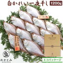 【お歳暮】お取り寄せ 白かれい一夜干(1200g・12〜16枚)エテかれい 国産 島根産 贈答 干かれい 酒の肴 産直 岡富商店 無添加 贈答 詰..
