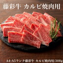 ≪お中元≫送料無料 お取り寄せ 藤彩牛 カルビ焼肉用藤彩 牛肉 A4 A5 カルビ バラ 焼肉 ヤキニク 冷凍 誕生日 返礼品 ギフト プレゼント 贈り物 贈答 内祝い