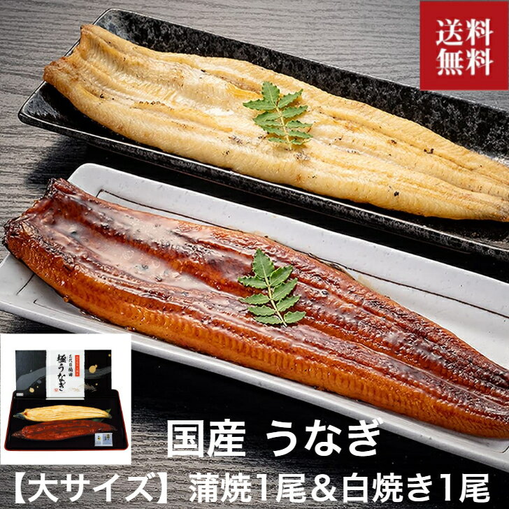 お中元【国産 鹿児島のうなぎ蒲焼き 大サイズ2本セット】特盛 大判 白焼き 送料無料 うなぎ 国産 2尾 鰻 蒲焼き 尾頭付き 真空パック ギフトセット 御中元 ギフト 丑の日 お祝い お返し 御中元 化粧箱 のし クール便 内祝い 熨斗 箱入り 鹿児島 ウナギ 山椒付き 贈答