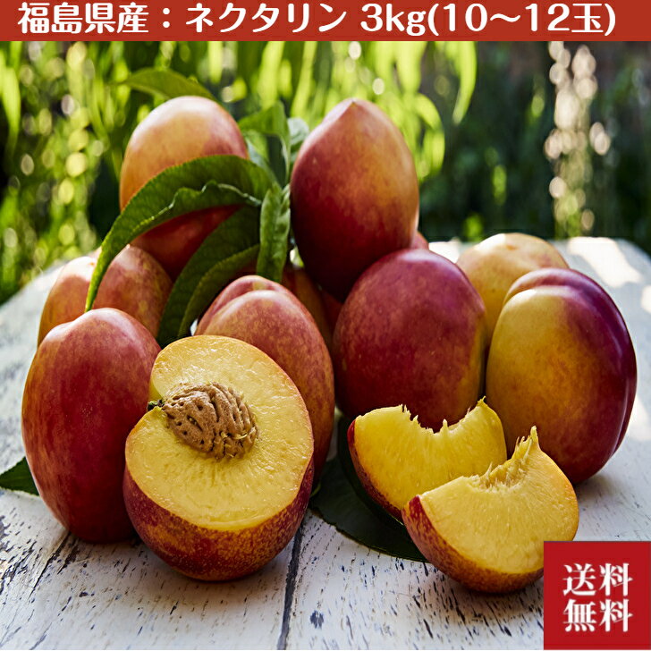 【期間限定】ネクタリ