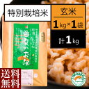 送料無料 お取り寄せ 曽良のお米 玄米 1kg特別栽培米 栃木県産 栃木県那須黒羽産 自然農法米 那須くろばね 返礼品 ギフト プレゼント 贈り物 贈答 お米 米 ライス 特栽米 母の日 父の日