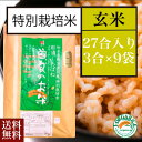 ＼母の日／送料無料 お取り寄せ 曽良のお米 玄米 27合入り特別栽培米 食べきりサイズ 栃木県産 栃木県那須黒羽産 自然農法米 那須くろばね 返礼品 ギフト プレゼント 贈り物 贈答 お米 米 ライス 特栽米 内祝い