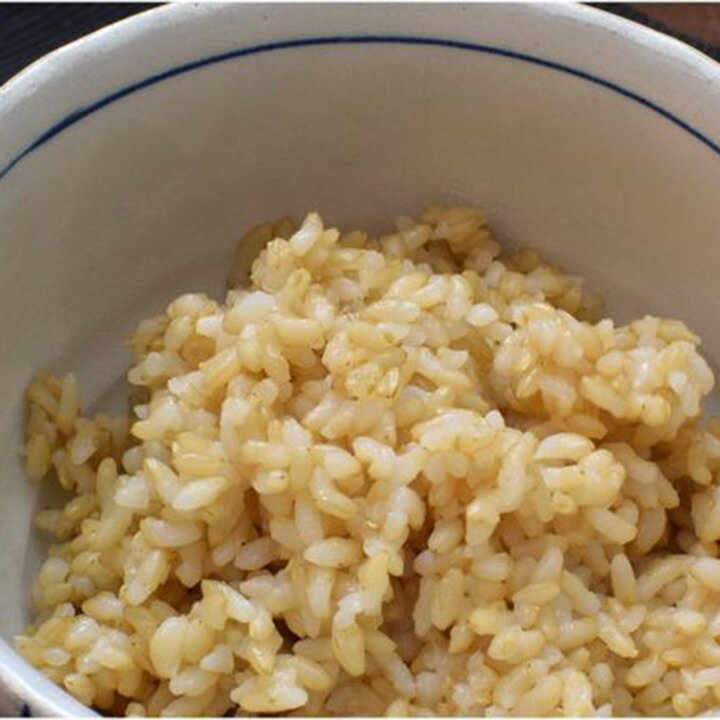 ≪お中元≫送料無料 お取り寄せ 芭蕉のお米 有機玄米ごはん 20パック入り 自然栽培プレミアム有機 栃木県産 栃木県那須黒羽産 自然農法米 那須くろばね 返礼品 ギフト プレゼント 贈り物 贈答 お米 米 ライス 有機米 有機玄米 パック 保存食 有機米 レンチン 玄米
