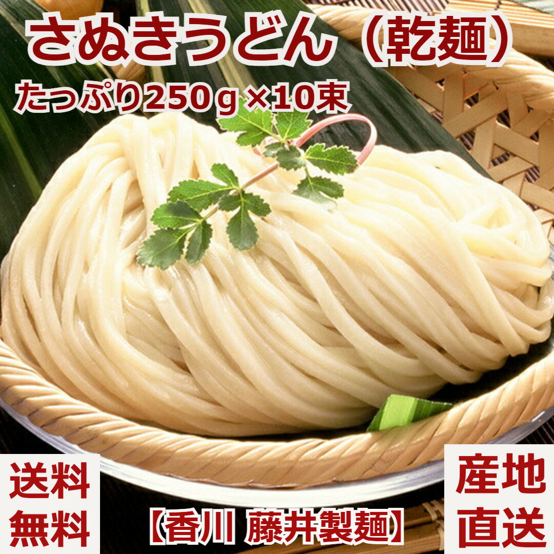 送料無料 お取り寄せ 【香川 藤井製麺】さぬきうどん（乾麺）250g×10束 お取り寄せグルメ ギフト 鍋 冷温両用 ふじめん ギフト 贈り物 贈答 プレゼント 麺ギフト 産直 うどんギフト 内祝い 父の日のサムネイル