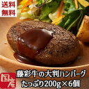 ＼母の日／送料無料 お取り寄せ【 藤彩牛 大判ハンバーグハンバーグ 200g×6個 1.2k セット】 藤彩 牛肉 大判 冷凍 誕生日 返礼品 ギフト プレゼント 贈り物 贈答 内祝い