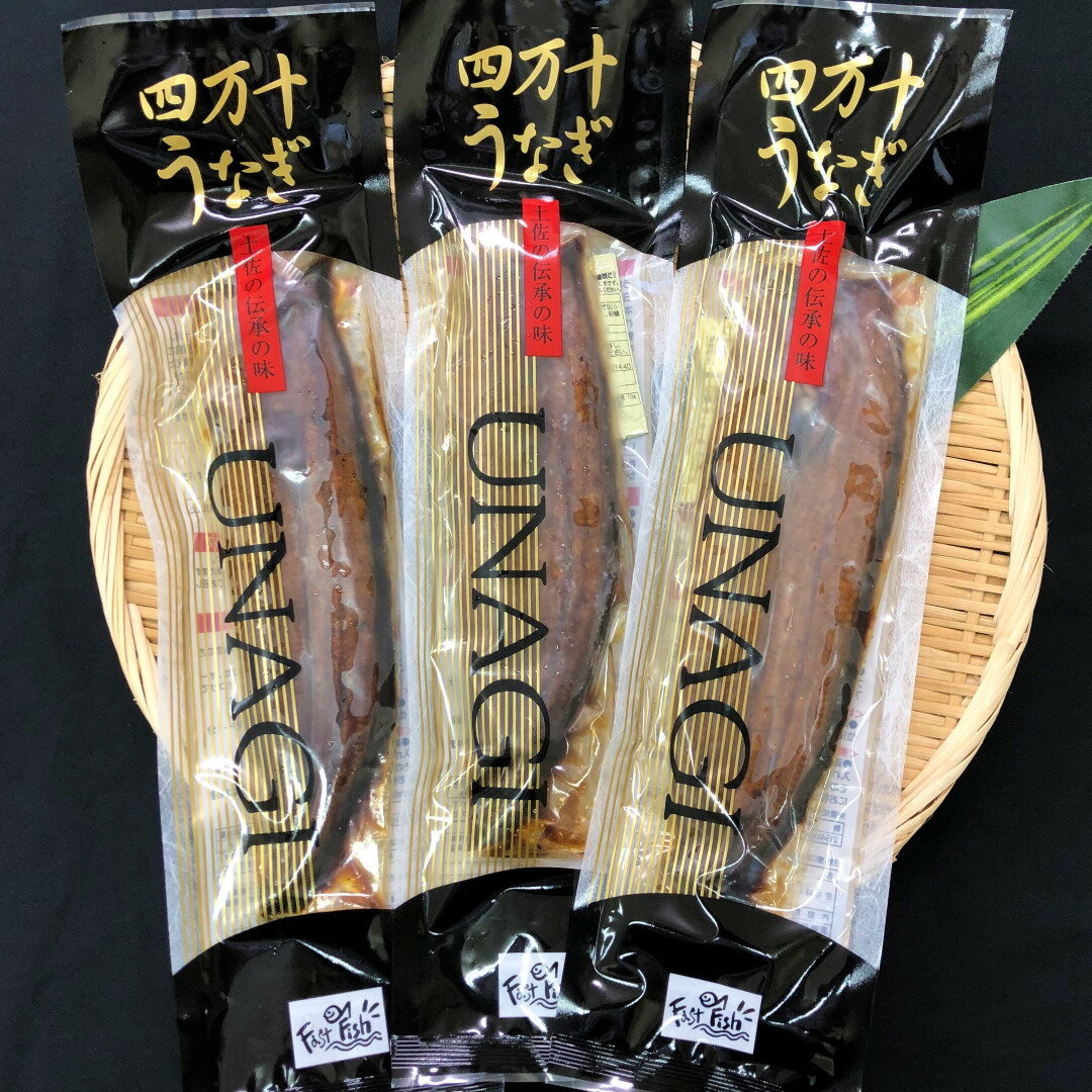 【母の日】四万十うなぎ 蒲焼140g 大サイズ 3尾セット うなぎ蒲焼き3本 うなぎ 国産 3尾 鰻 蒲焼き 尾頭付き 真空パック ギフト お返し 贈答 贈り物 化粧箱 のし 高知県産 真空パック クール便 熨斗 箱入り ウナギ Lサイズ 特盛 山椒付き タレ付き 土用の丑 内祝い